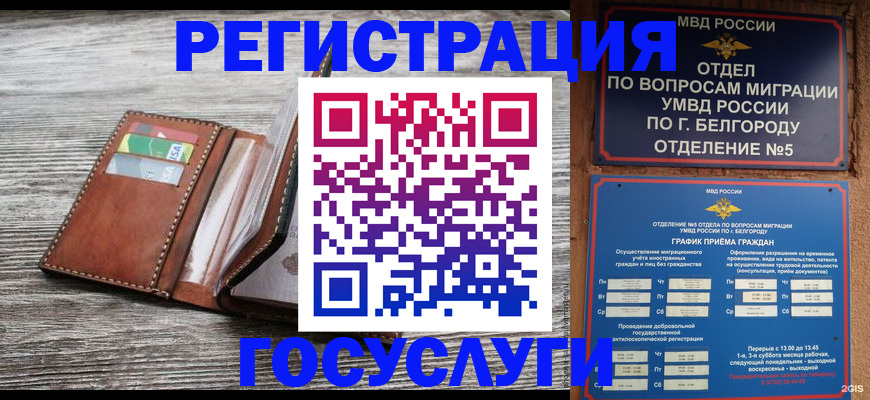 прописка 2025 в Котовске